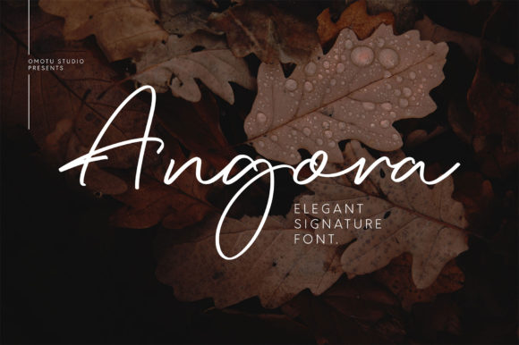 Angora: A Handwritten Typeface for Modern Editorial Design
