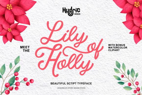 Lily of Holy: A Handwritten Font for Polished Branding