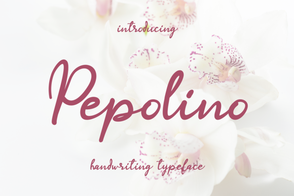 Pepolino Font Review: Elevating Campaign Visuals with Style