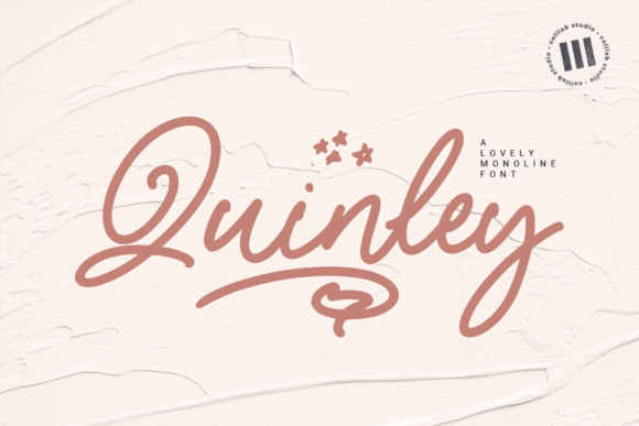 Quinley: The Elegant Handwritten Font for Makers